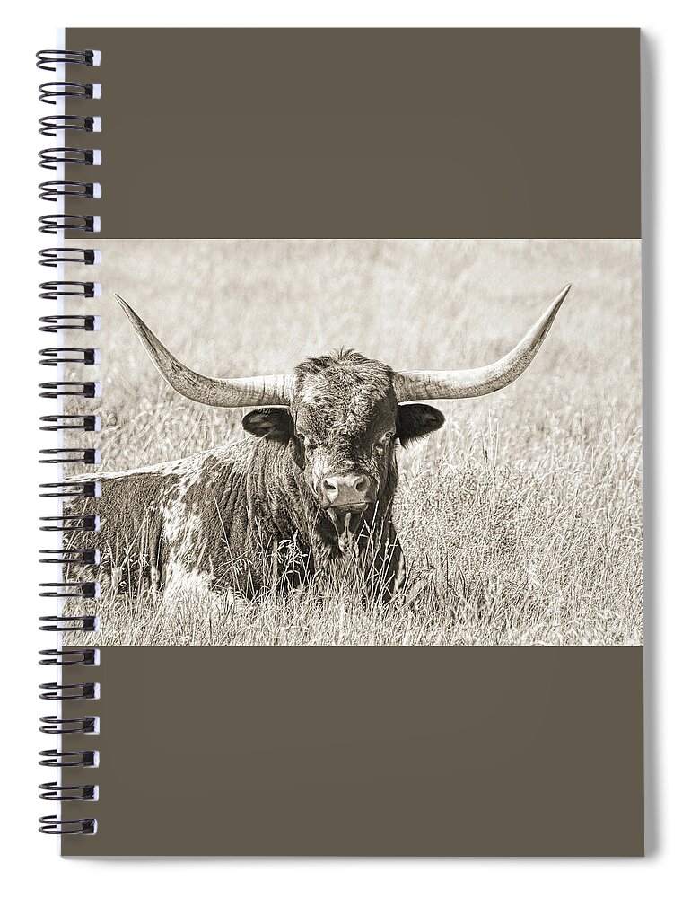 Texas Longhorn Spiral Notebook featuring the photograph Proud Texas Longhorn Bull Sepia by Jennie Marie Schell