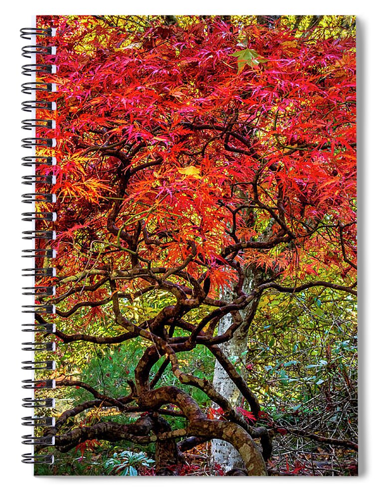 Pt Spiral Notebook featuring the photograph PT Defiance Japanese Maple by Rob Green