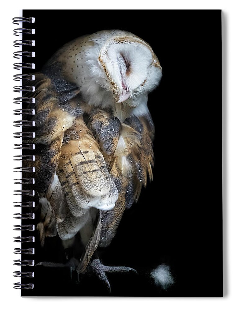 Barn Owl Spiral Notebook featuring the photograph Pulling Feathers by Belinda Greb