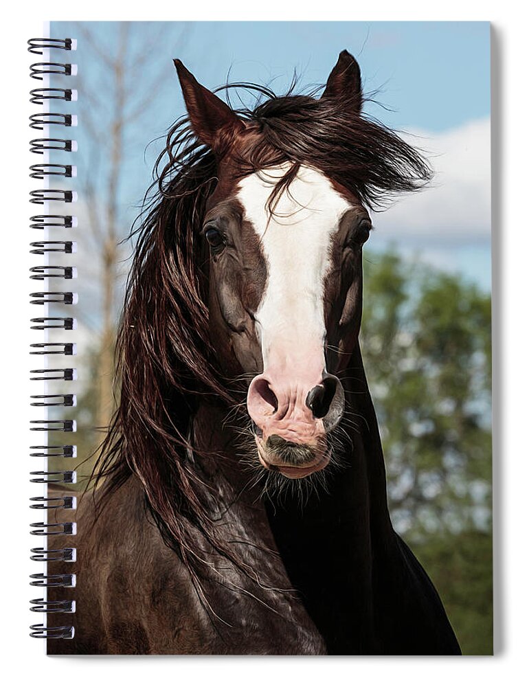 Pumped Up Spiral Notebook featuring the photograph Pumped Up by Wes and Dotty Weber