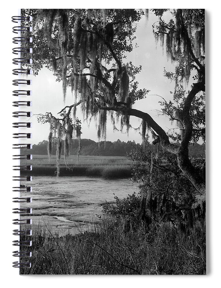  Spiral Notebook featuring the photograph Pumpkin Hill Preserve, 2004 by John Simmons