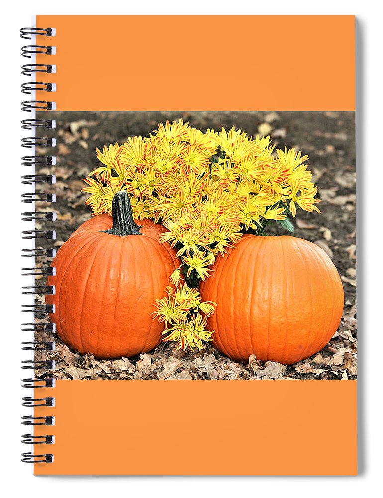 Nature Spiral Notebook featuring the photograph Pumpkins and Mums by Sheila Brown