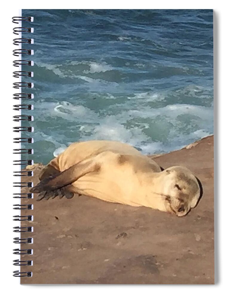 Seal Spiral Notebook featuring the photograph Pure Contentment by Lisa White