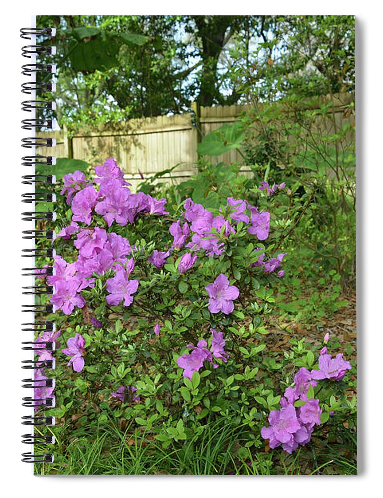 Azalea Spiral Notebook featuring the photograph Purple Azaleas and Elephant Ears by Aimee L Maher ALM GALLERY
