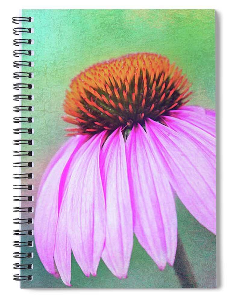 Purple Coneflower Echinacea Spiral Notebook featuring the photograph Purple Coneflower with a touch of Grunge by Anita Pollak