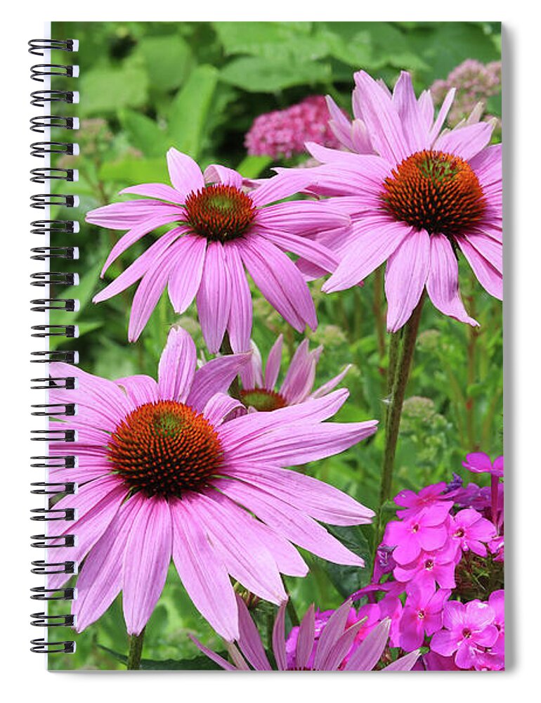 Phlox Spiral Notebook featuring the photograph Purple Coneflowers with Pholx by Steve Augustin
