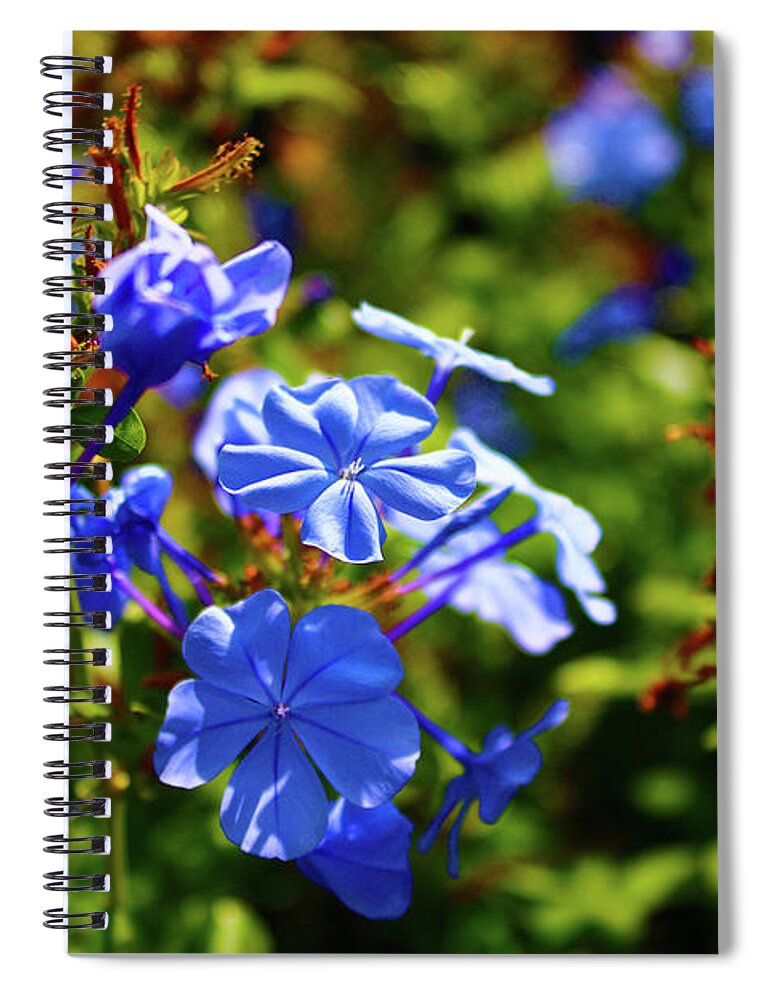 Flowers Spiral Notebook featuring the photograph Purple Flower Power by Marcus Jones