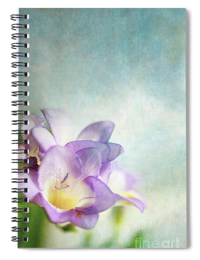 Freesia Spiral Notebook featuring the photograph Purple Freesia Against a Blue Background by Stephanie Frey