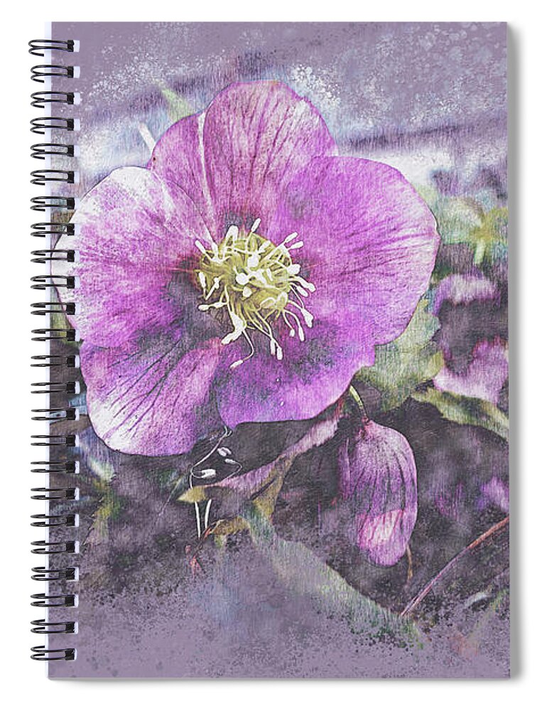 Bloom Spiral Notebook featuring the mixed media Purple Lenten Rose by Bentley Davis