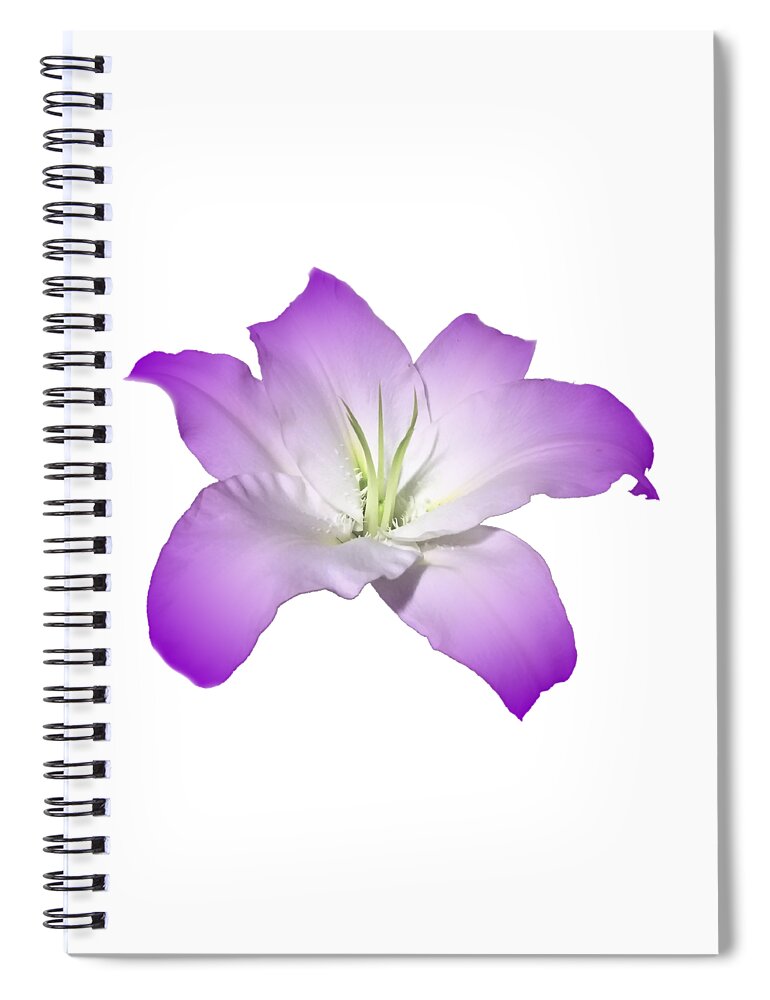 Purple Spiral Notebook featuring the photograph Purple Lily Flower by Delynn Addams