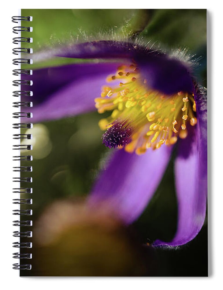  Spiral Notebook featuring the photograph Purple Love by Nicole Engstrom