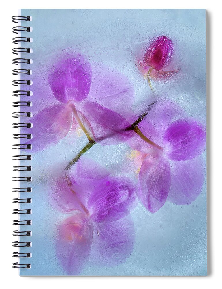 Orchid Spiral Notebook featuring the photograph Purple Orchid In Blue Ice by Elvira Peretsman