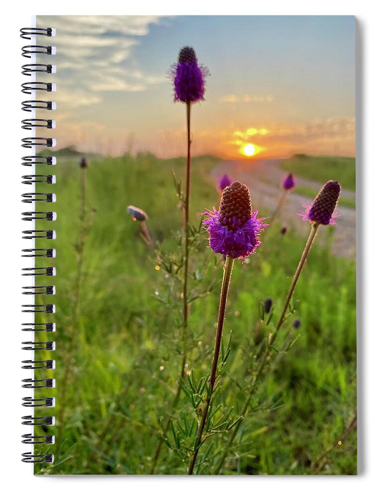 Purple Prairie Clover Spiral Notebook featuring the photograph Purple Prairie Clover by Alex Blondeau