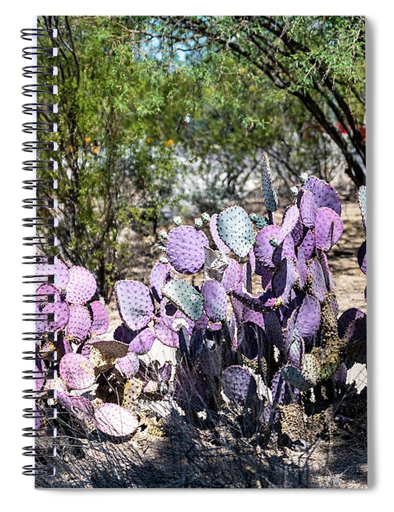 Purple Prickly Pear Spiral Notebook featuring the photograph Purple Prickly Pear by Tom Cochran