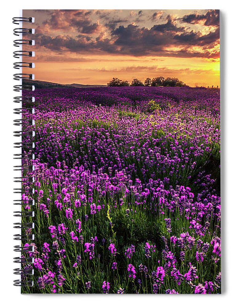 Bulgaria Spiral Notebook featuring the photograph Purple Sea by Evgeni Dinev