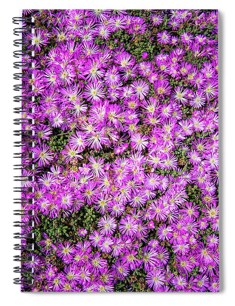 Ca Route 1 Spiral Notebook featuring the photograph Purplish Pinkish Blooms by David Levin