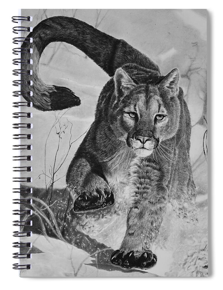Mountain Lion Spiral Notebook featuring the drawing Pursuit by Greg Fox