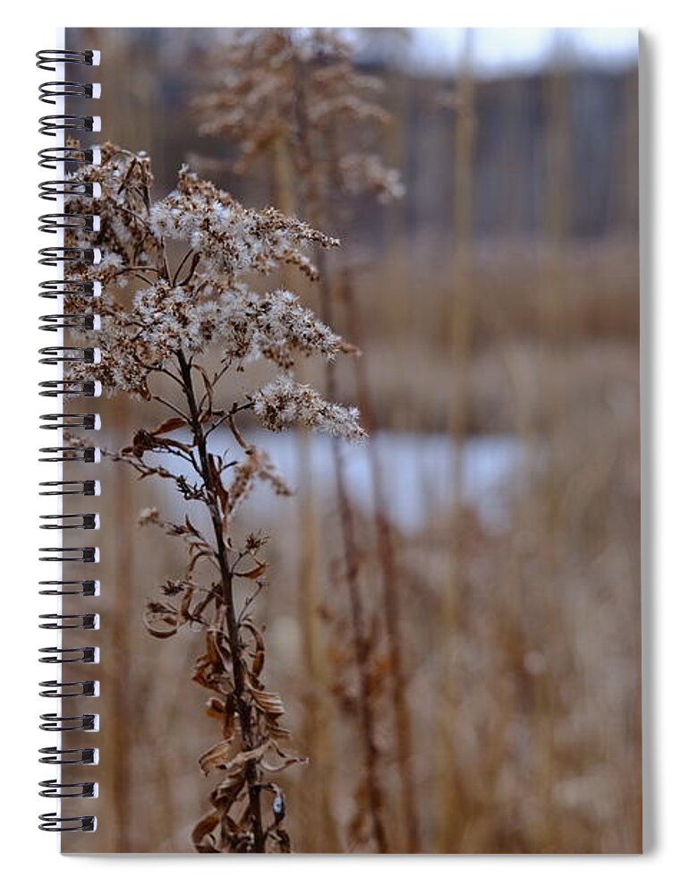 Color Spiral Notebook featuring the photograph Quarry Whisp And Pond - Detail by Kreddible Trout