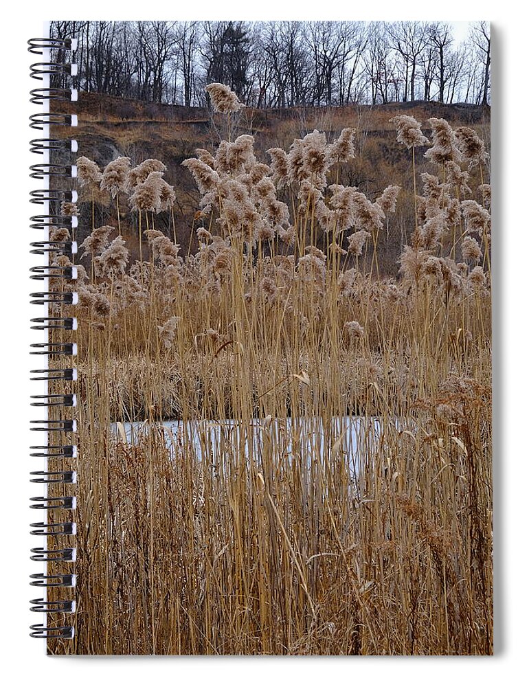 Nature Spiral Notebook featuring the photograph Quarry Whisps And Pond by Kreddible Trout