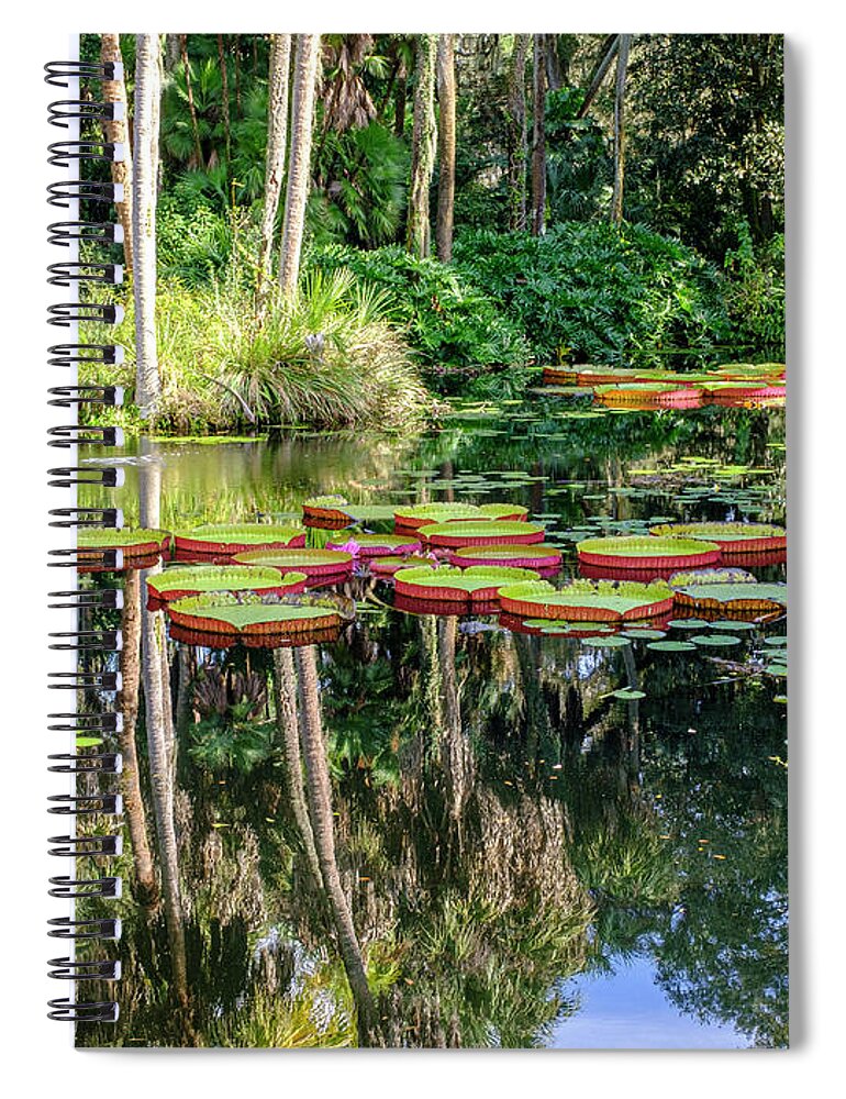 Garden Spiral Notebook featuring the photograph Quiet Garden by Tony Locke