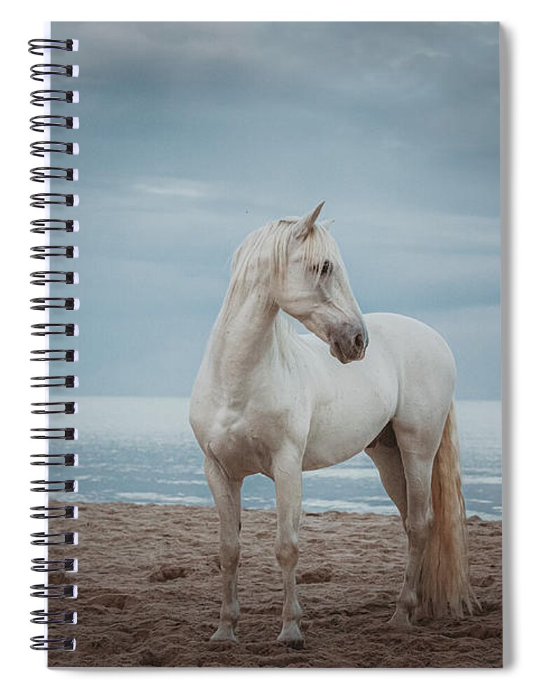Photographs Spiral Notebook featuring the photograph Quiet Storm - Horse Art by Lisa Saint