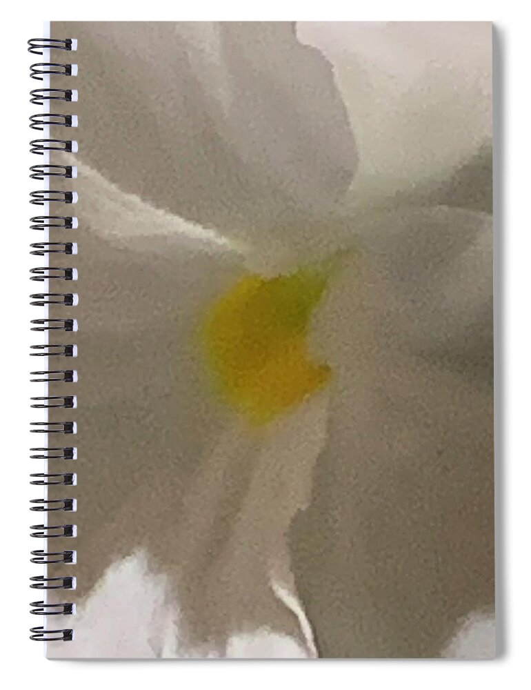 Mary Spiral Notebook featuring the photograph Radiant Recourse by Tiesa Wesen