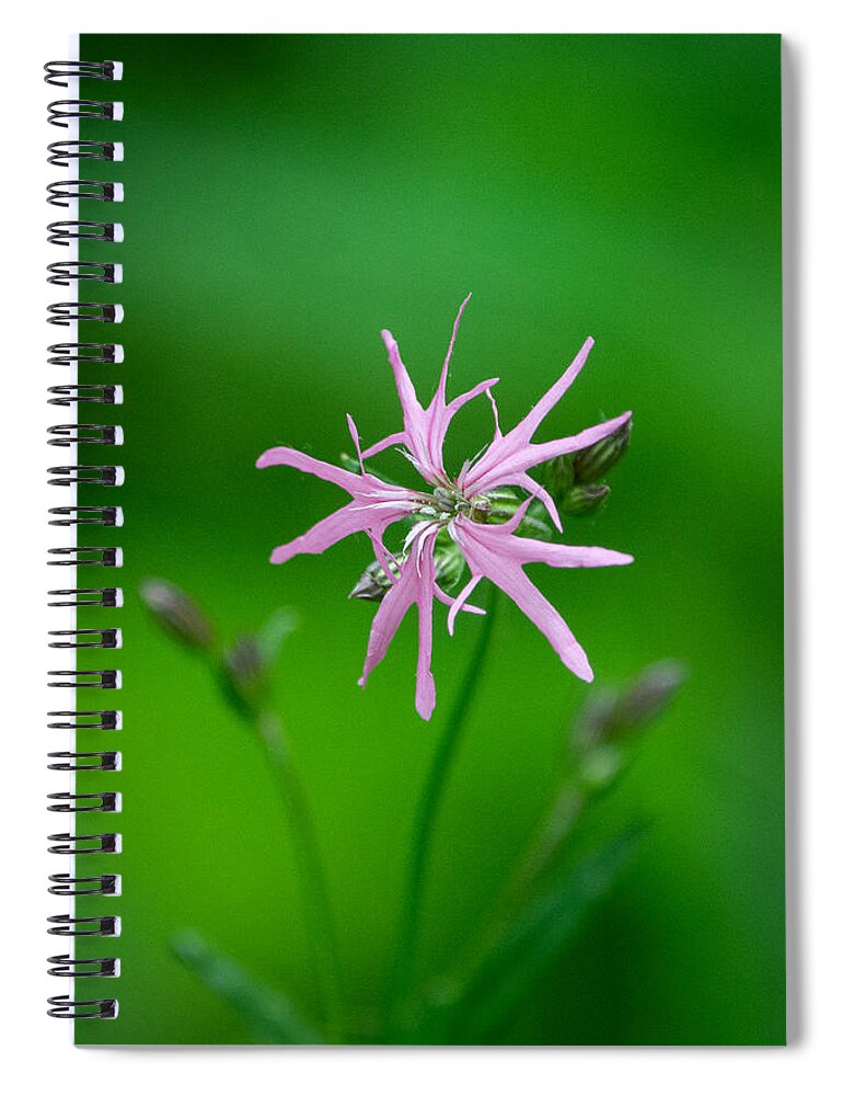 Wildflower Spiral Notebook featuring the photograph Ragged-robin by Linda Bonaccorsi