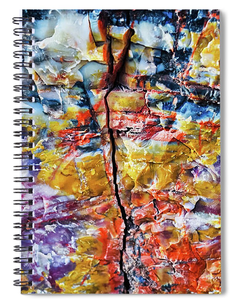 Petrified Forest National Park Spiral Notebook featuring the photograph Rainbow Petrified Wood Long Logs Trail by Kyle Hanson