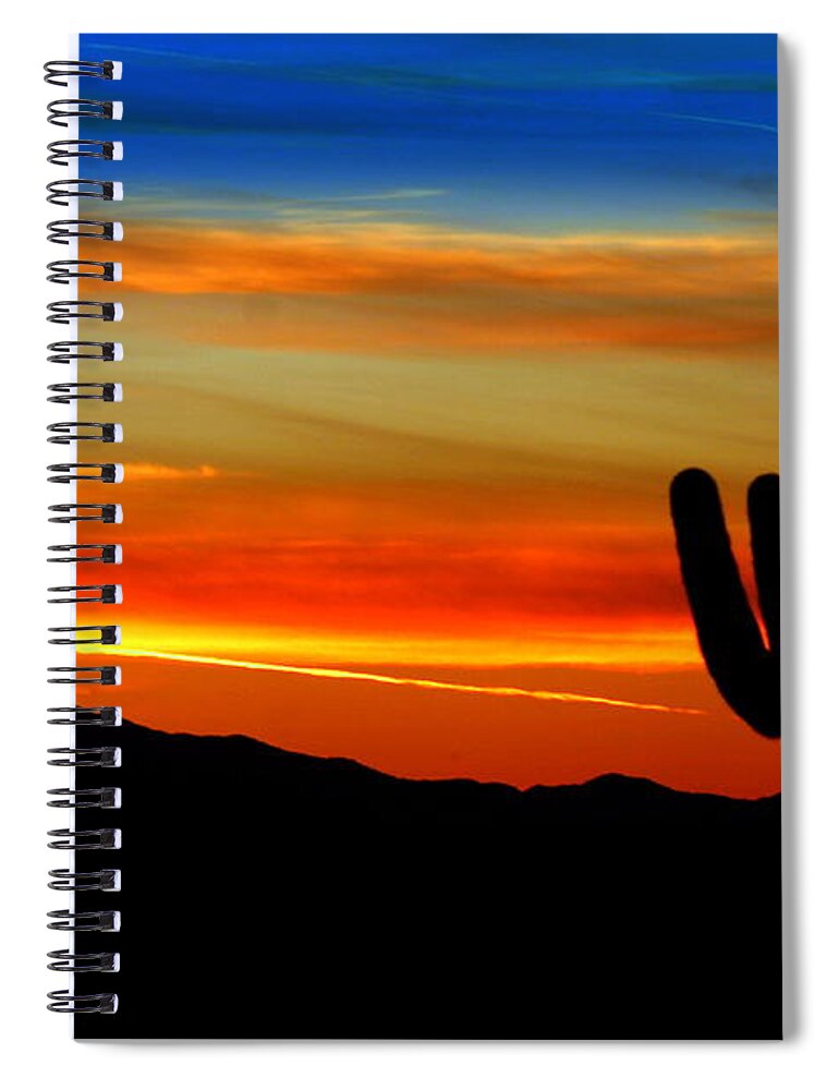 Rainbow Spiral Notebook featuring the photograph Rainbow Saguaro by Gene Taylor