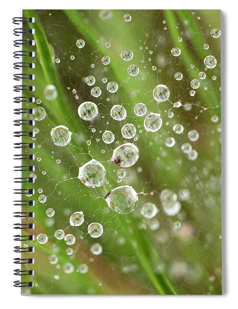 Drop Spiral Notebook featuring the photograph Raindrops Caught In A Web by Karen Rispin