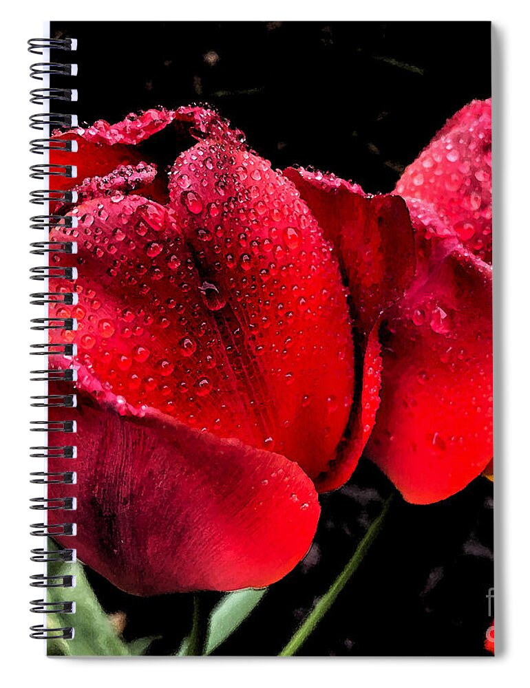 Tulips Spiral Notebook featuring the photograph Raindrops on Tulips by Jeanette French