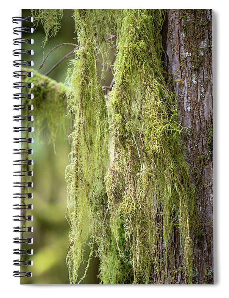 Tree Spiral Notebook featuring the photograph Rainforest Scenery by Paul Freidlund