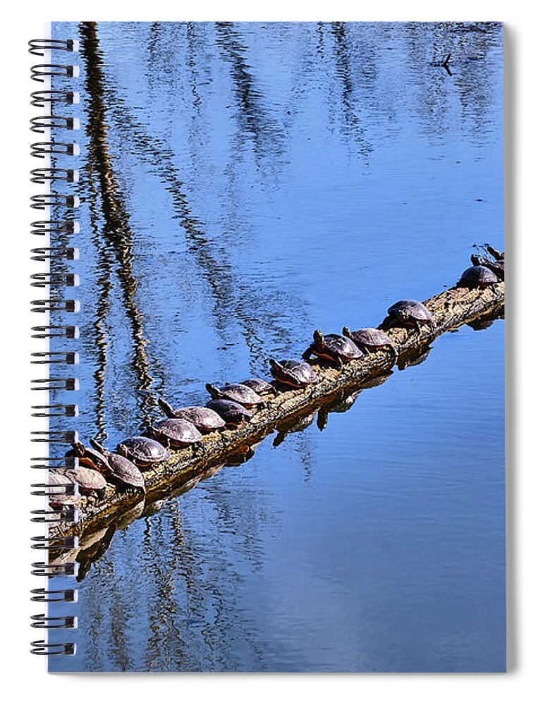 Faune Spiral Notebook featuring the photograph Ranked turtles by Carl Marceau