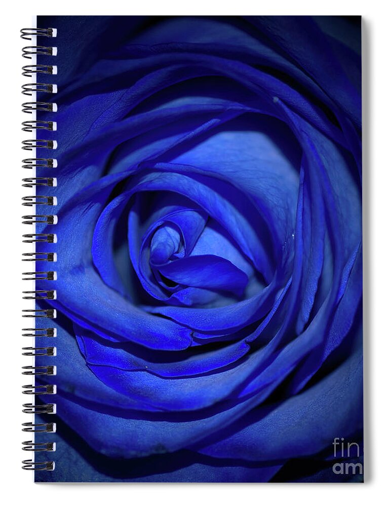 Blue Spiral Notebook featuring the photograph Rara Complessita by Diana Mary Sharpton