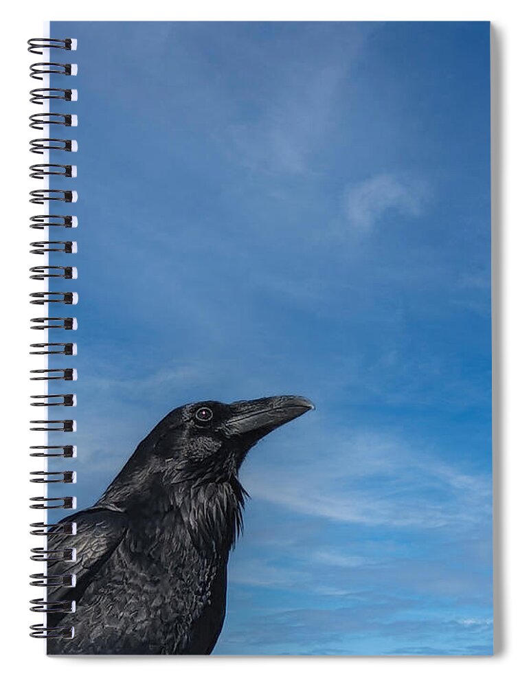 Raven Spiral Notebook featuring the photograph Raven Portrait by Laura Putman