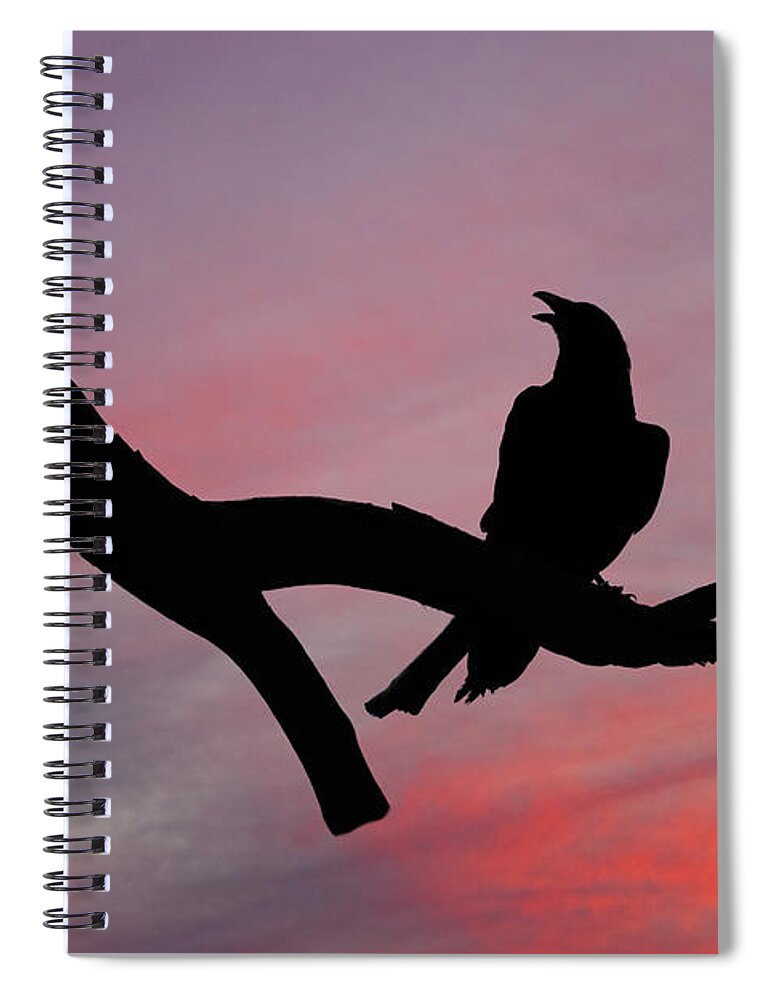 Adult Spiral Notebook featuring the photograph Raven Silhouette by Jeff Goulden