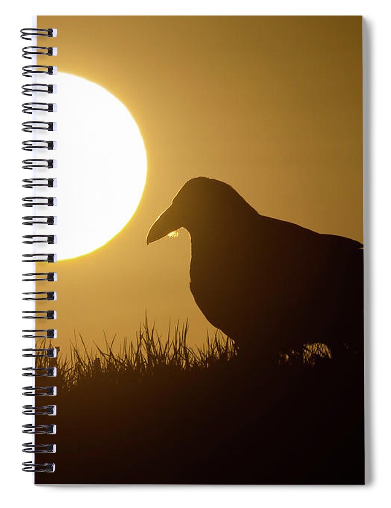Common Raven Spiral Notebook featuring the photograph Raven Sunrise by Max Waugh