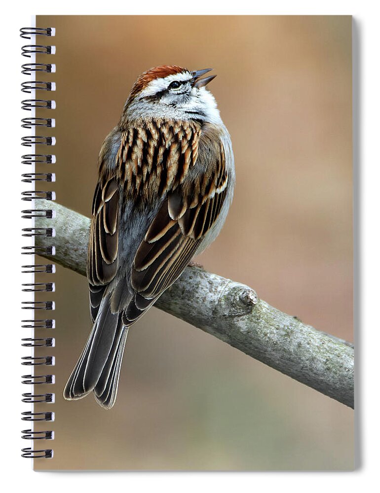 Bird Spiral Notebook featuring the photograph Real Tweets by Art Cole
