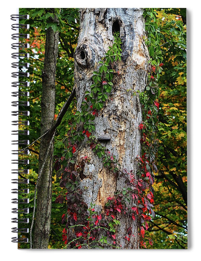 Red Spiral Notebook featuring the photograph Red and Green Vines by Scott Olsen
