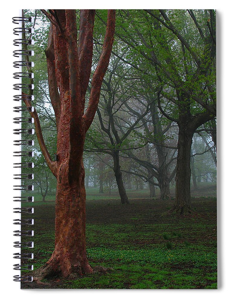 Red Spiral Notebook featuring the photograph Red by Juergen Roth