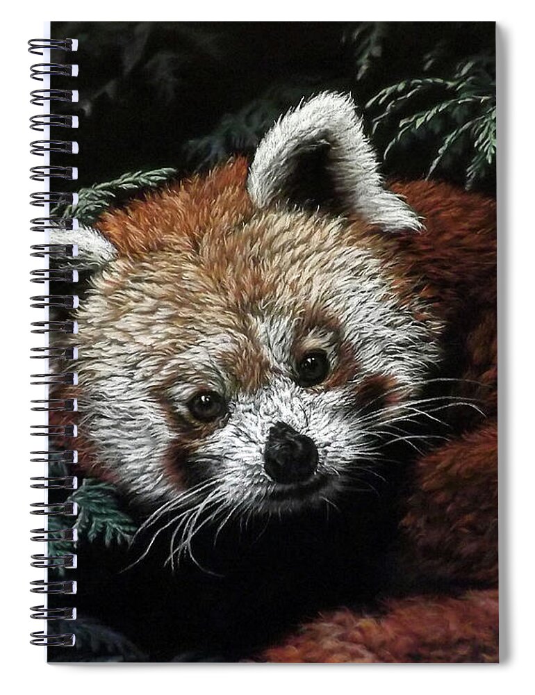 Animal Spiral Notebook featuring the painting Red Panda by Linda Becker