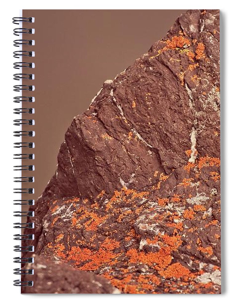 Abstract Spiral Notebook featuring the digital art Red Rock, Oragge Moss by David Desautel