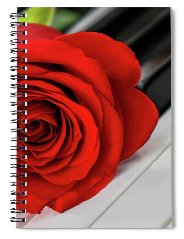 Piano Keys Spiral Notebook featuring the photograph Red Rose On Piano Keys by Olga Hamilton
