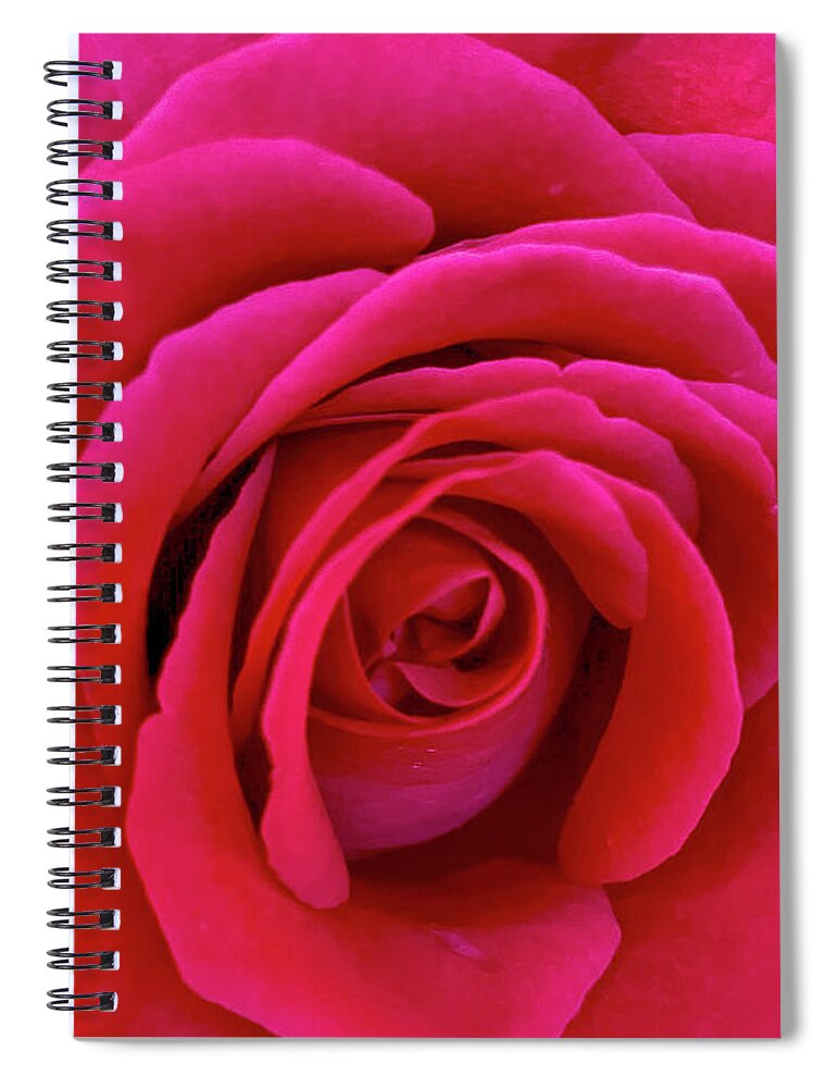 Red Spiral Notebook featuring the photograph Red Rose by Rochelle Berman