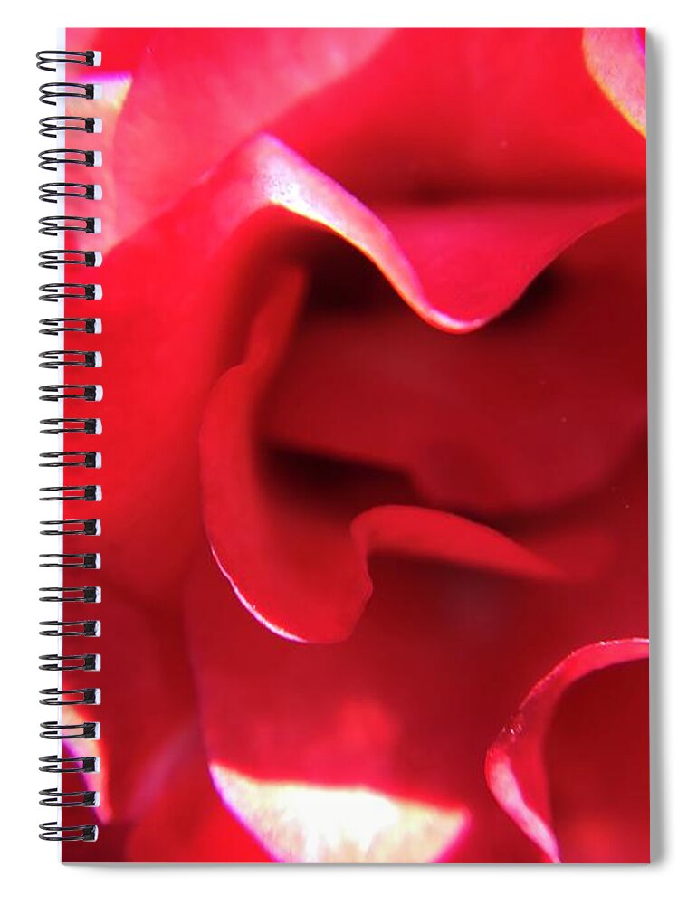 Red Rose Spiral Notebook featuring the photograph Red Rose by Vivian Aumond