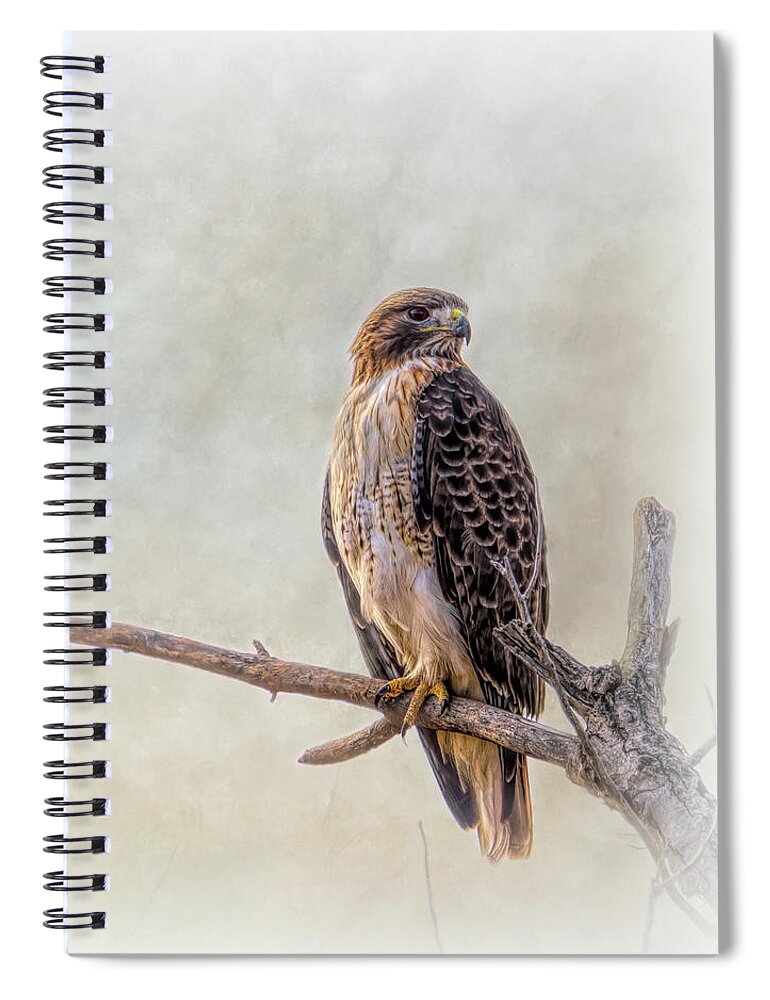 Debra Martz Spiral Notebook featuring the photograph Red Tailed Hawk Portrait by Debra Martz