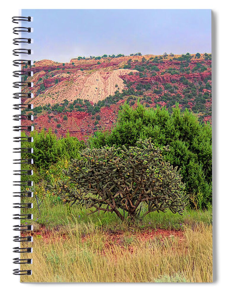 Landscape Spiral Notebook featuring the photograph Red Terrain - New Mexico by Diana Mary Sharpton