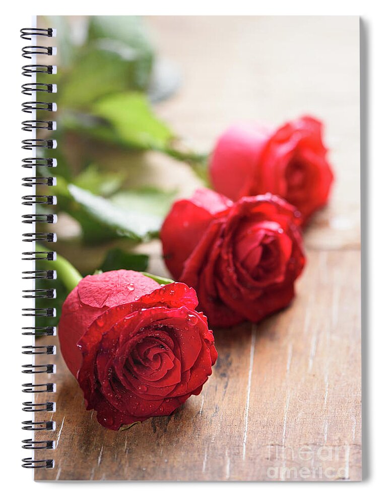 Roses Spiral Notebook featuring the photograph Red valentines roses closeup by Jelena Jovanovic