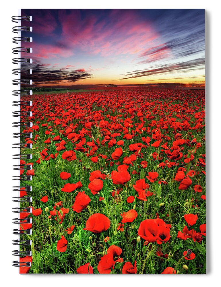 Poppy Spiral Notebook featuring the photograph Red Velvet by Jorge Maia