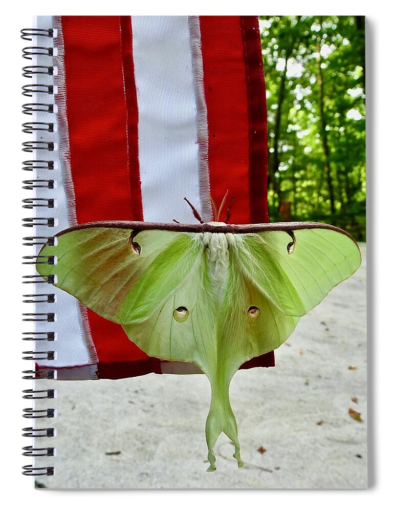 Luna Moth Spiral Notebook featuring the photograph Red, white and green by Lynn Hunt